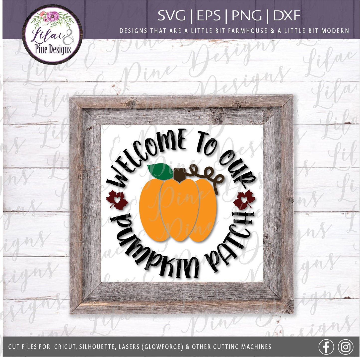 Pumpkin patch SVG, Welcome Pumpkin SVG, Fall Pumpkin SVG, Fall Decor Svg, Modern Farmhouse decor, Pumpkin round Svg, fall sign, pumpkin sign
