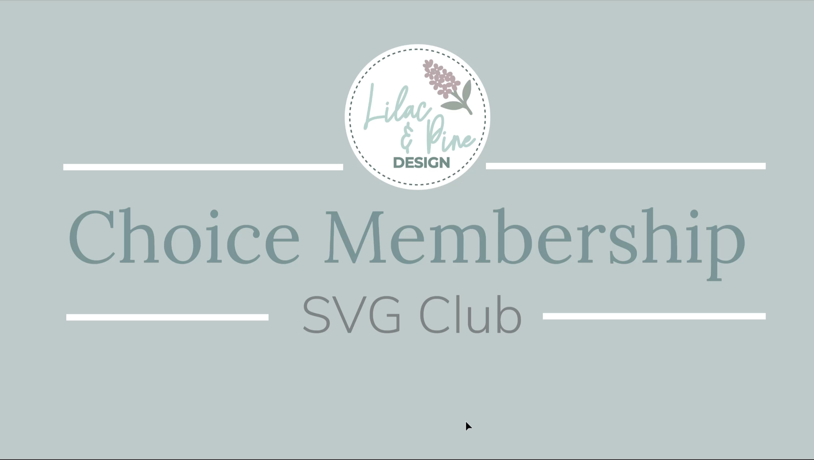 Load video: New info on the SVG club