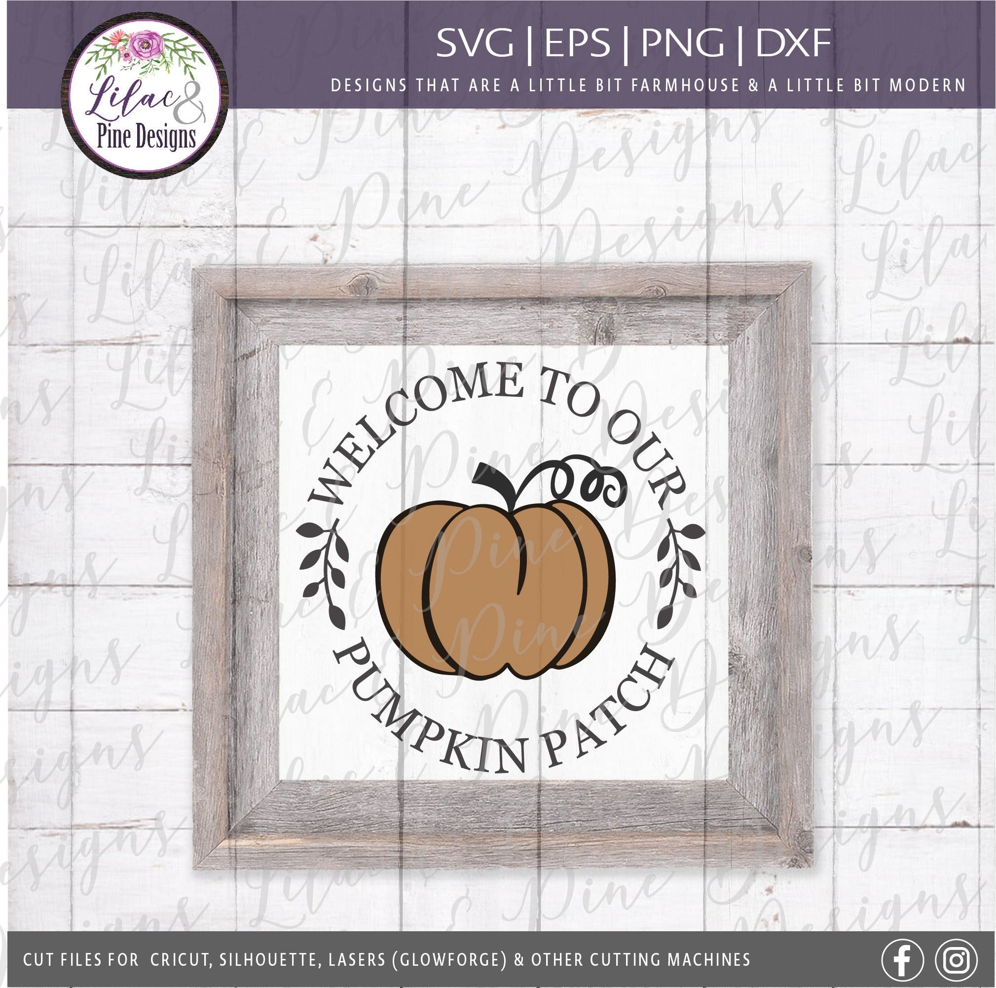 Pumpkin patch SVG, Welcome Pumpkin SVG, Fall Pumpkin SVG, Fall Decor Svg, Modern Farmhouse decor, Pumpkin round Svg, fall sign, pumpkin sign